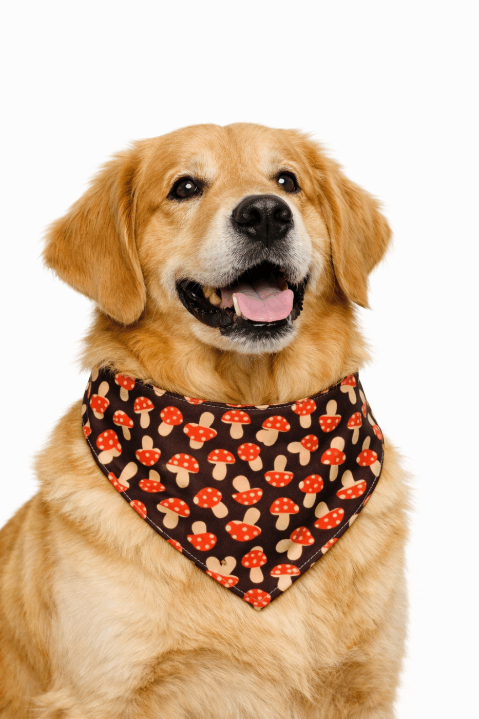 Mushroom Dog Bandana