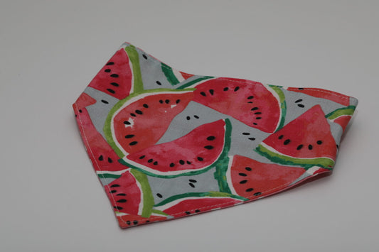 Watermelon 1 Dog Bandana