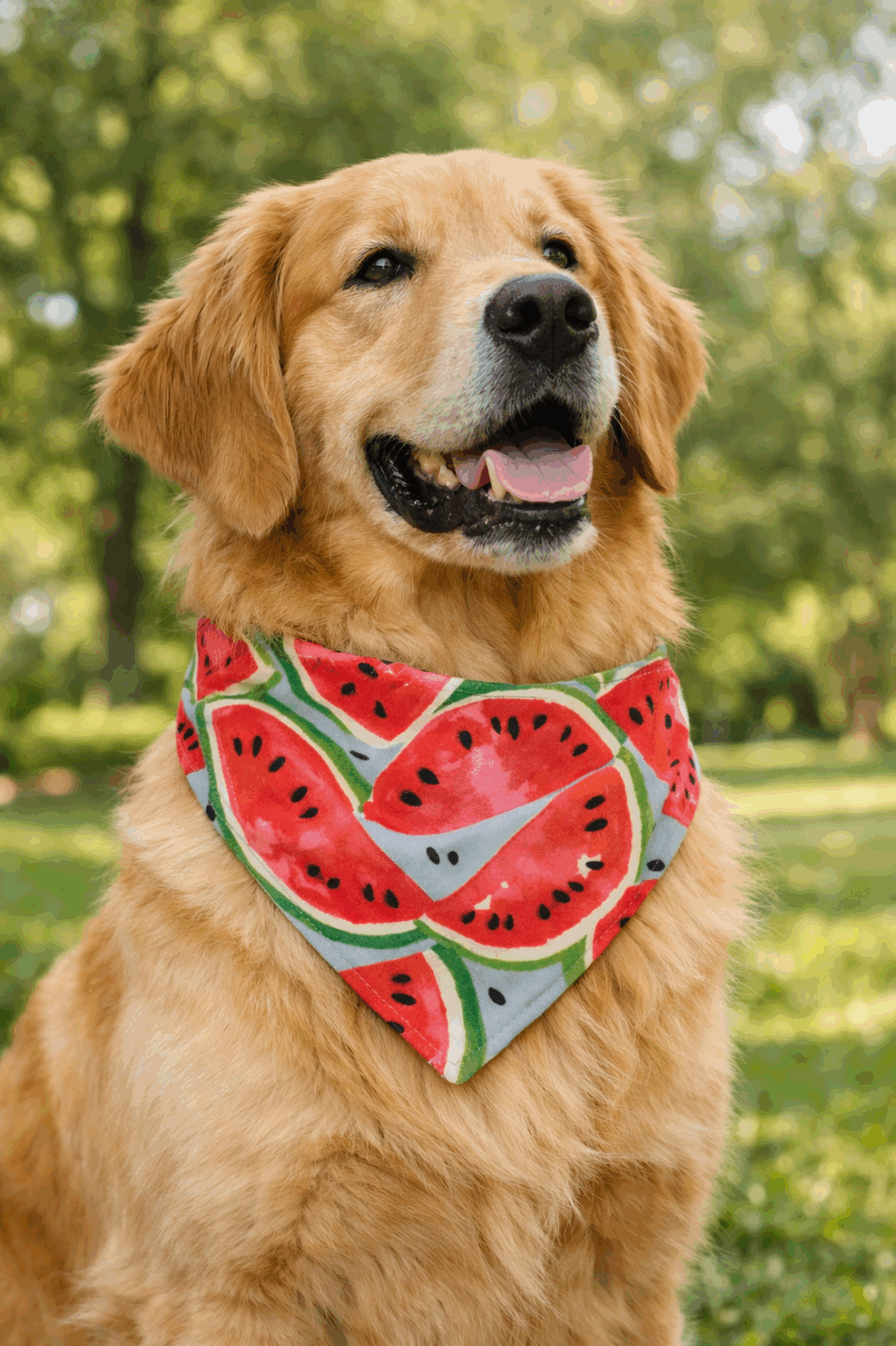 Watermelon 2 Dog Bandana