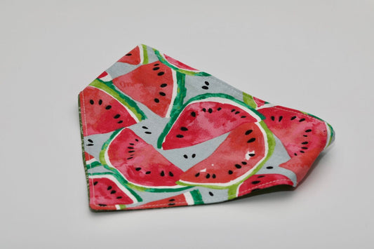 Watermelon 2 Dog Bandana