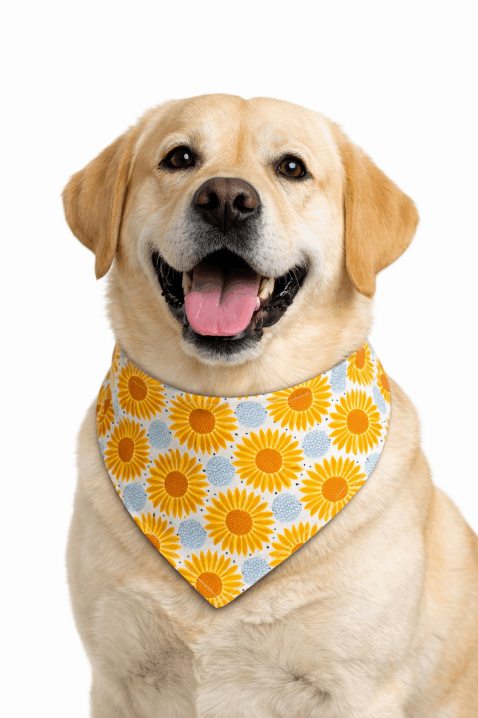 Yellow Floral Dog Bandana