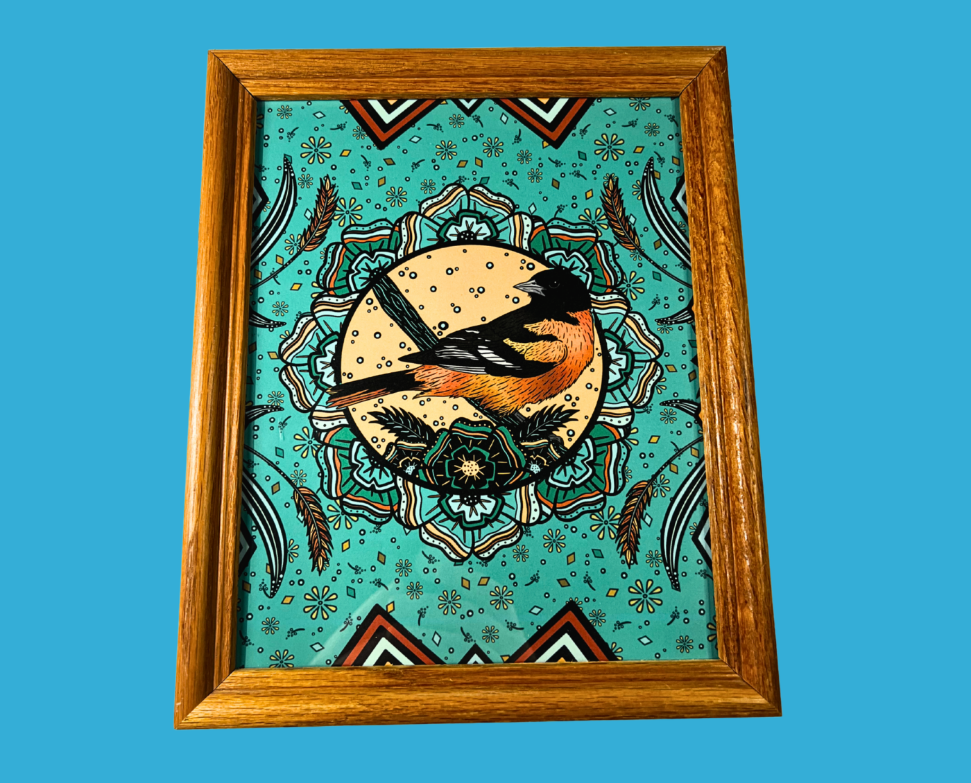 Baltimore Oriole – Framed Print (8×10)