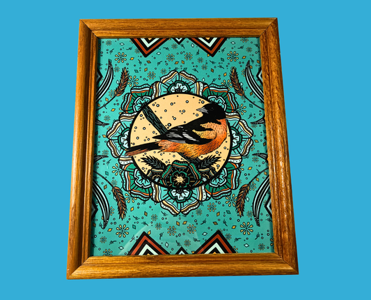 Baltimore Oriole – Framed Print (8×10)