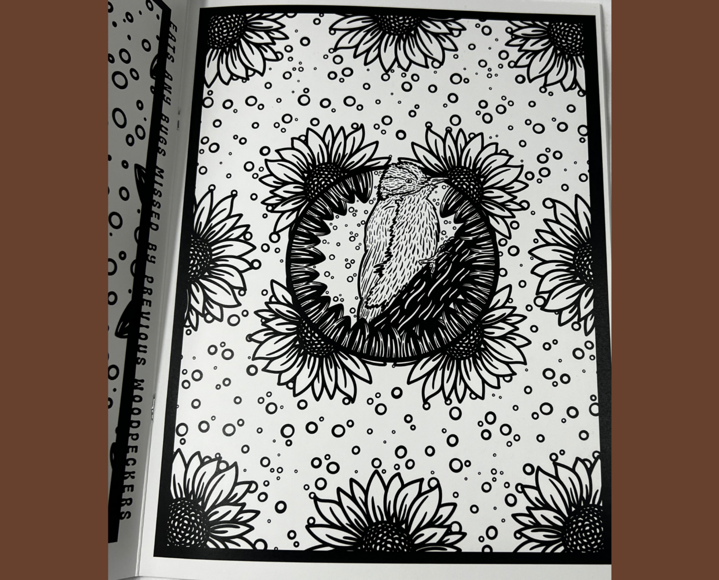 Healing Brown Bear Colouring Book
