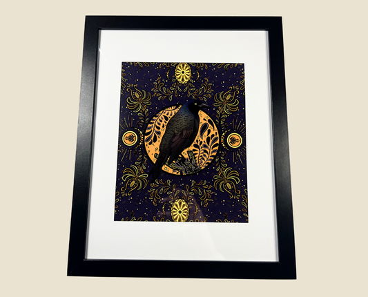 Common Grackle – Framed Print (8×10)