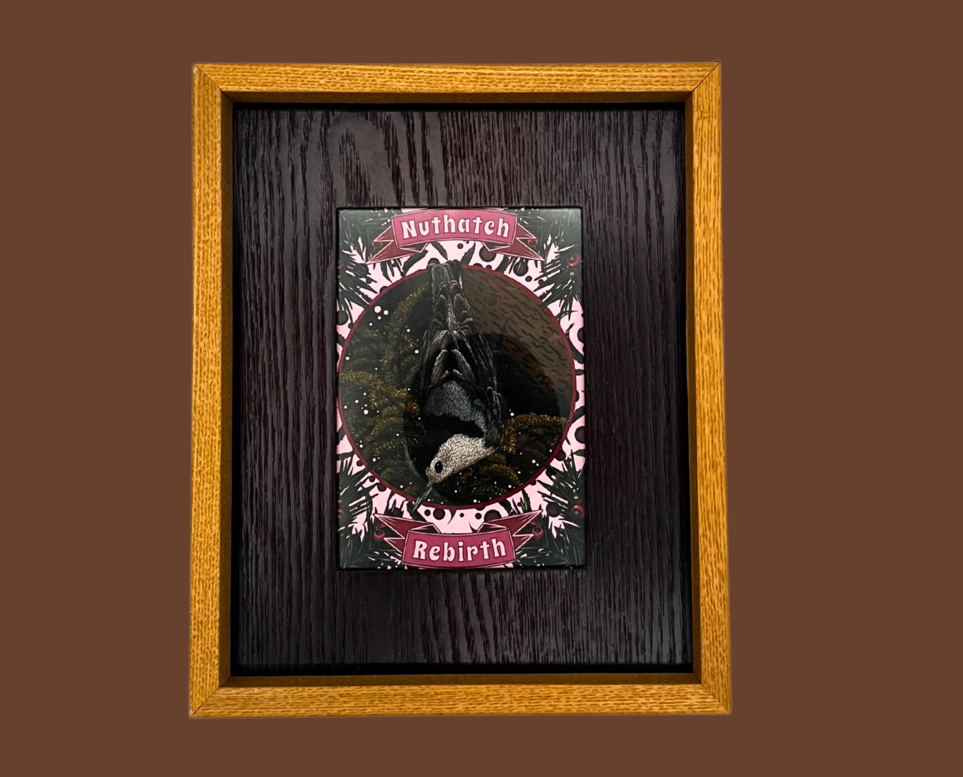 Nuthatch – Framed Print (5×7)