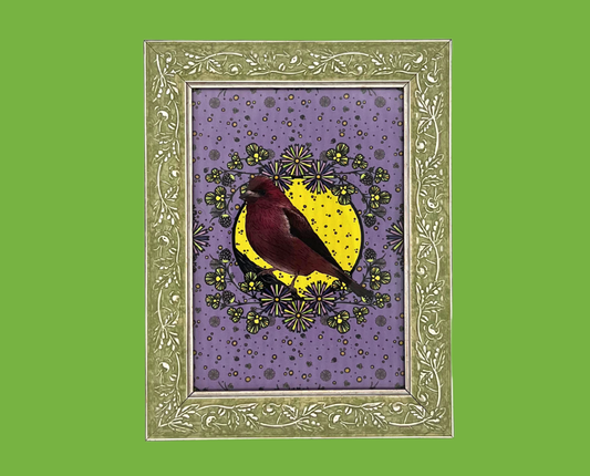 Purple Finch – Framed Print (5×7)