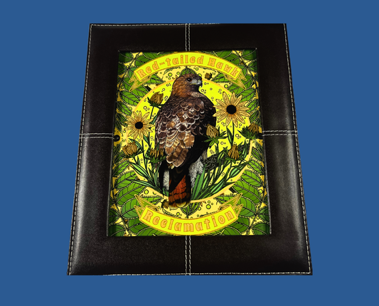 Red-Tailed Hawk – Framed Print (8×10)
