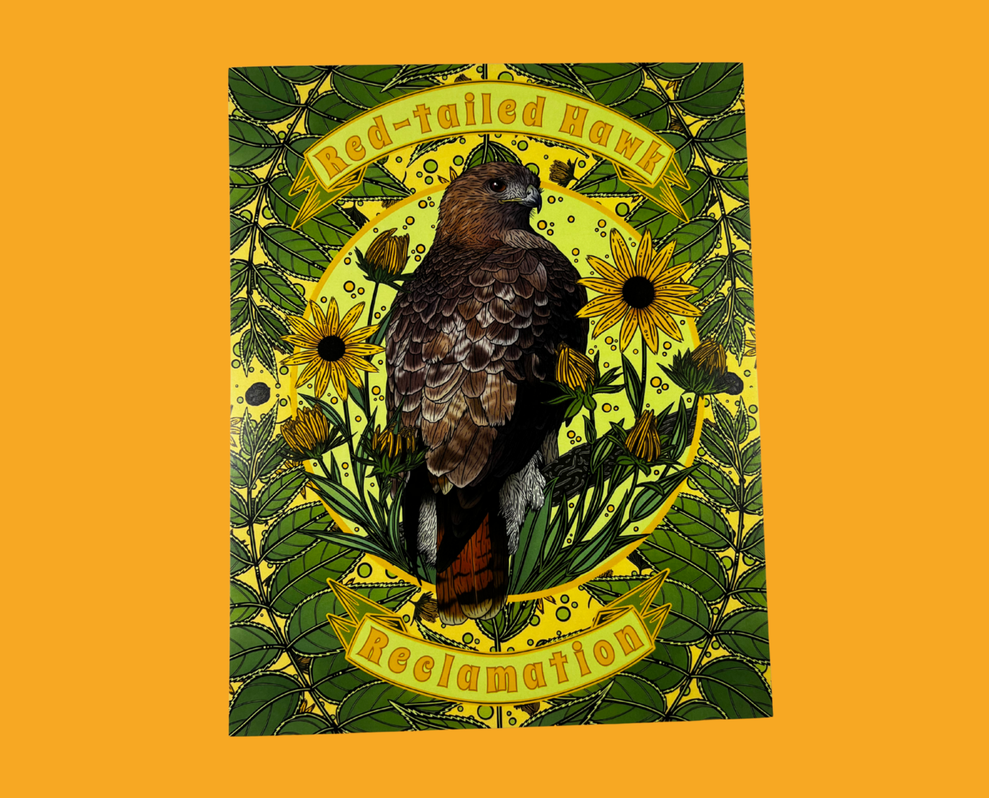 Red-Tailed Hawk – Unframed Print (8×10)