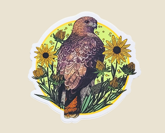 Red-Tailed Hawk Sticker (3×3)