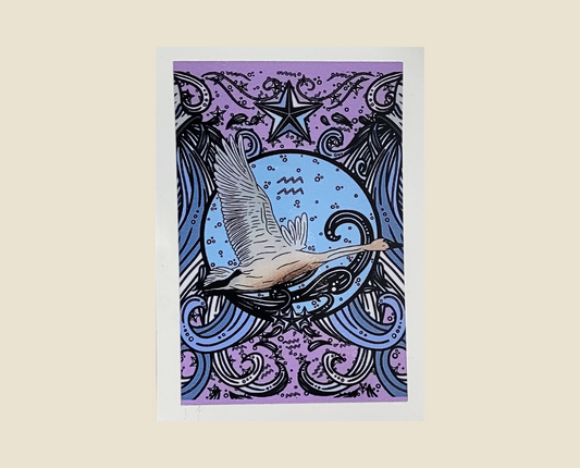 Tundra Swan Aquarius Sticker (2×3)