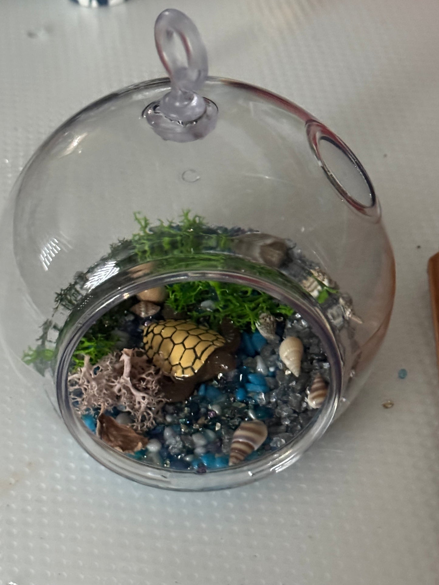 Baby Insect Tank
