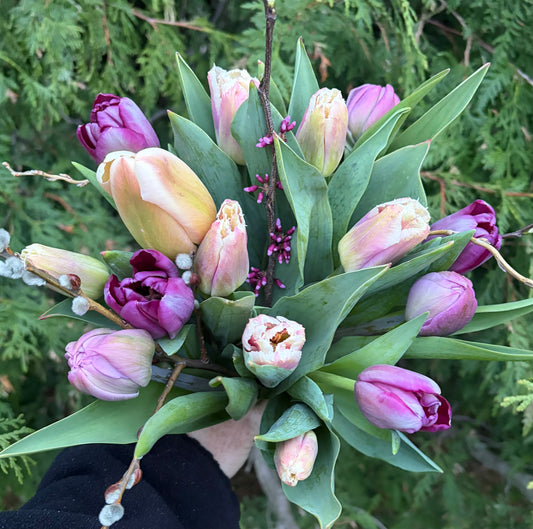 Spring Flower Subscription 2027