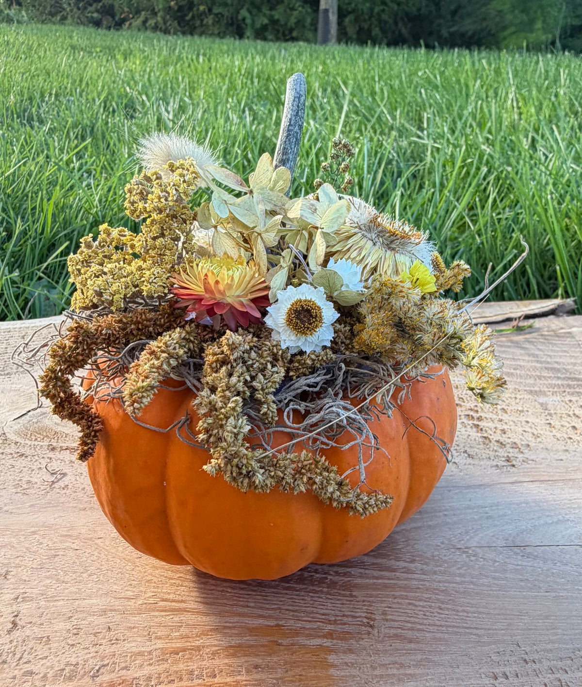 Dried Flower Pumpkins – Long-Lasting Décor -