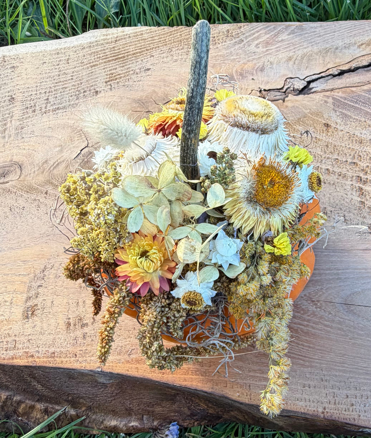 Dried Flower Pumpkins – Long-Lasting Décor -