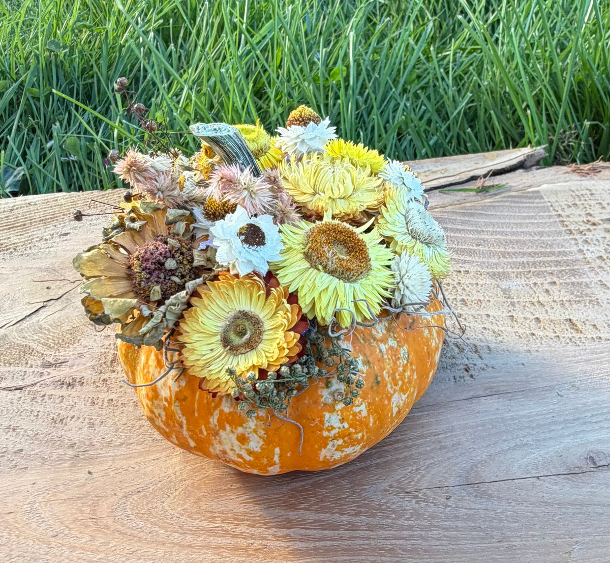 Dried Flower Pumpkins – Long-Lasting Décor