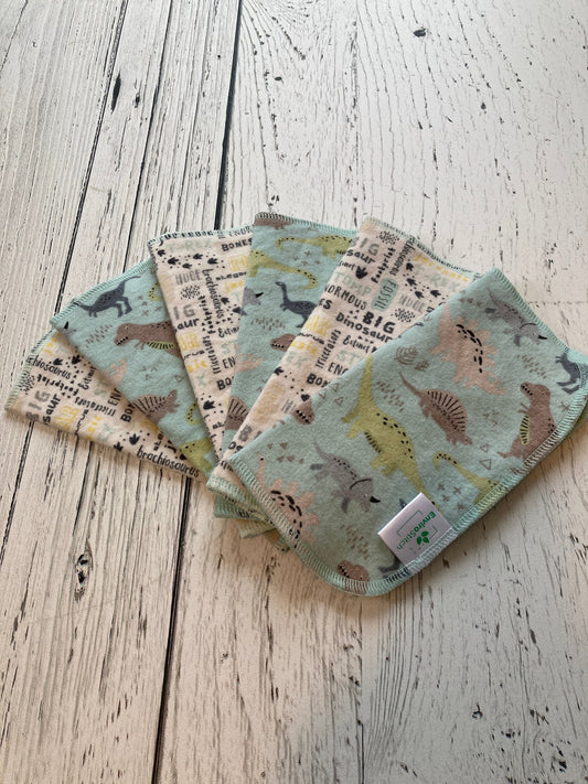 Dinosaur cloth wipes set, patterned fabric with dinosaur and leaf illustrations