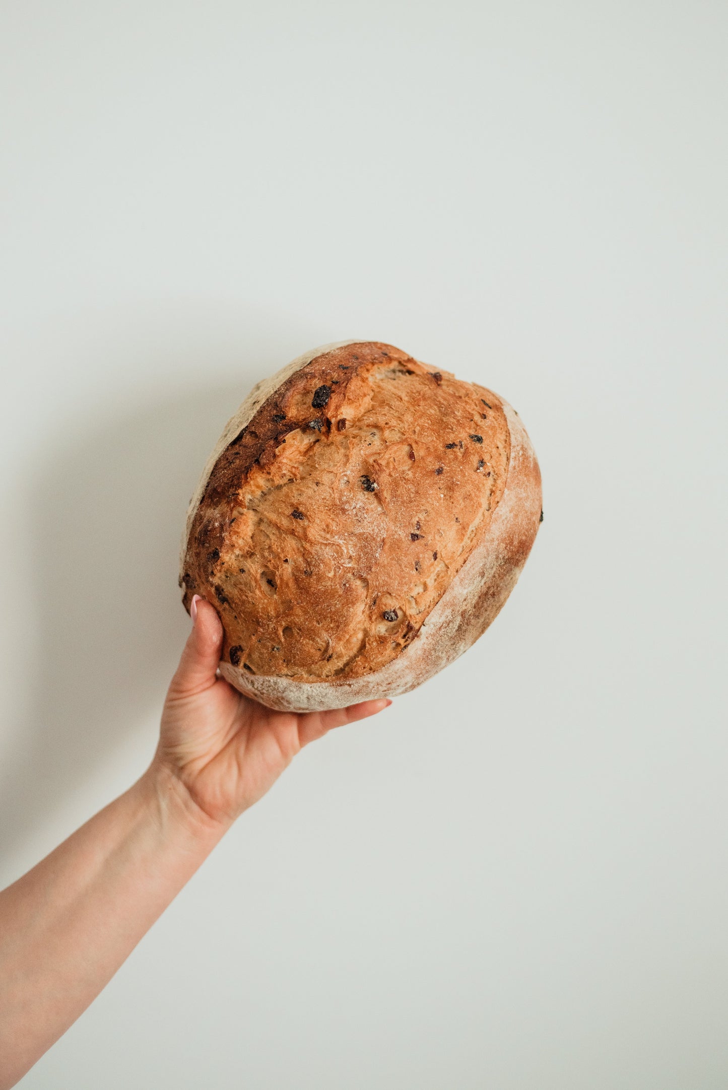 Cranberry & Currant Sourdough