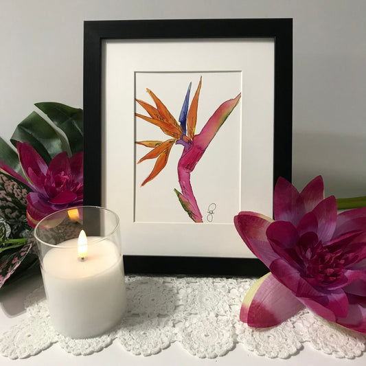 Bird of Paradise
