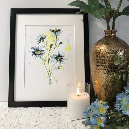Blue Daisies