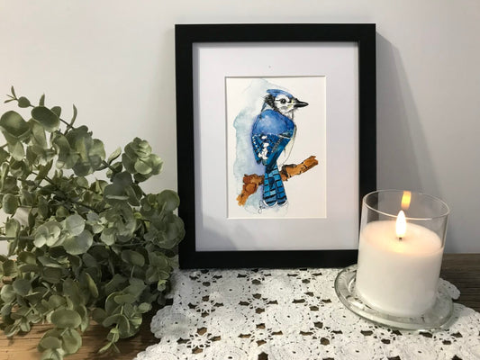 Blue Jay