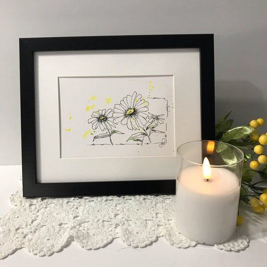 Daisy Duo