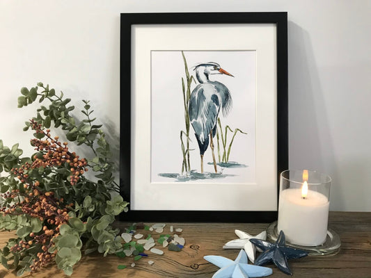 Great Blue Heron