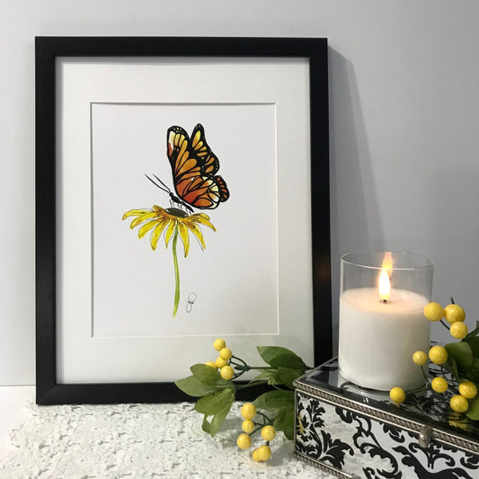 Monarch’s Delight