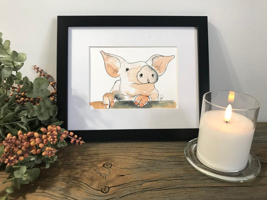 Pig