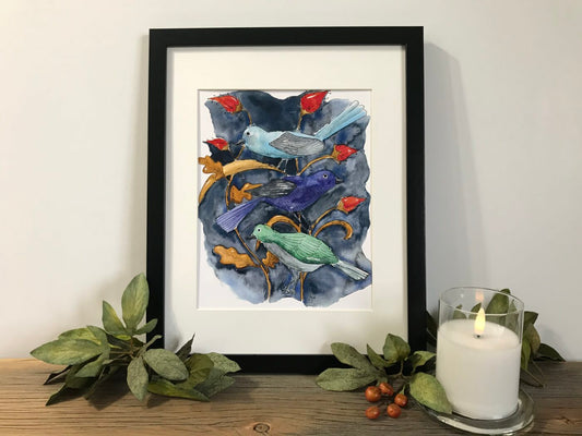 Trio Of Colourful Birds