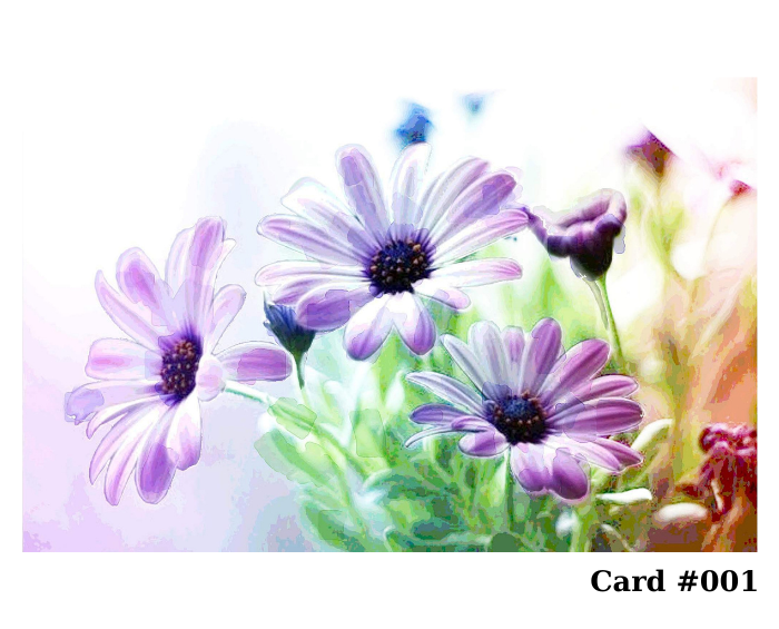 Greeting Cards – Pick Any 3 Designs From Large Selection