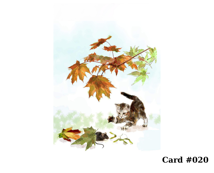 Greeting Cards – Pick Any 3 Designs From Large Selection