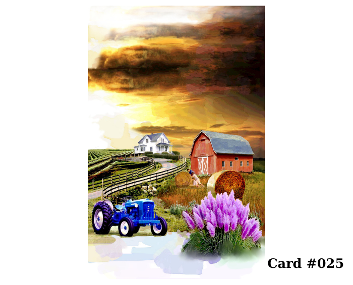 Greeting Cards – Pick Any 3 Designs From Large Selection