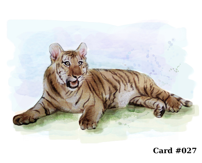 Greeting Cards – Pick Any 3 Designs From Large Selection