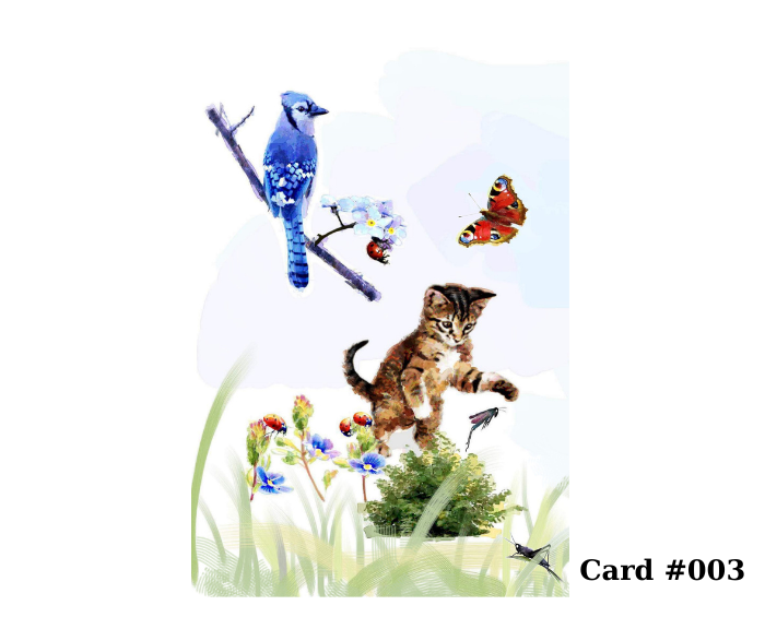 Greeting Cards – Pick Any 3 Designs From Large Selection