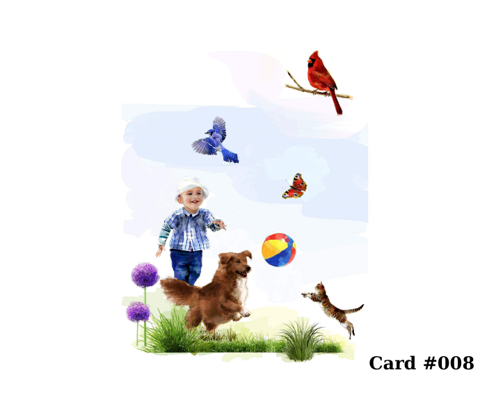 Greeting Cards – Pick Any 3 Designs From Large Selection