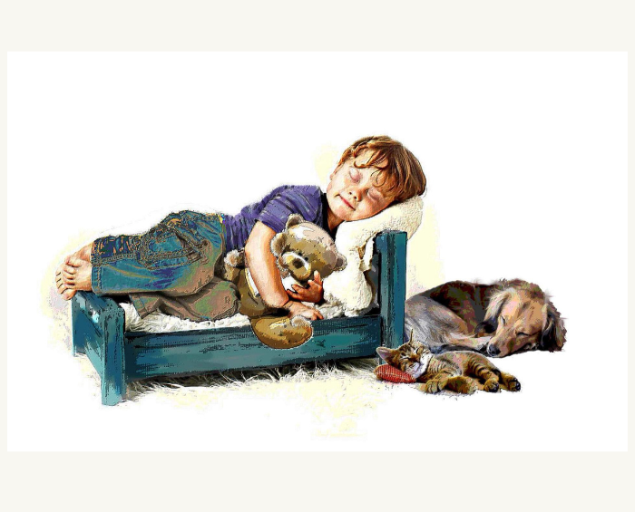 Noon Nap – Greeting Card