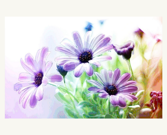 Rainbow Gardens Greeting Card