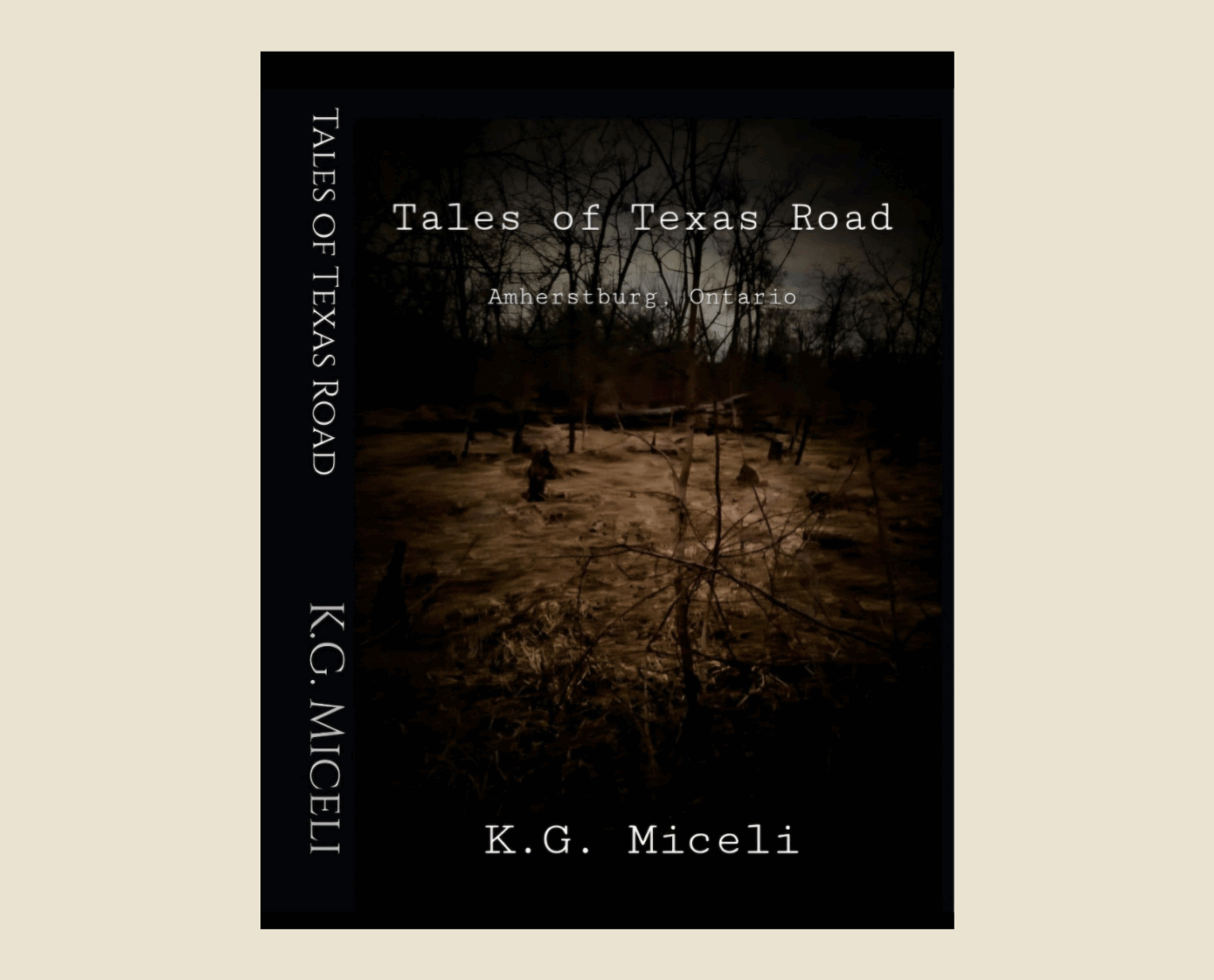Tales of Texas Road: Amherstburg, Ontario (True Haunted Tales)
