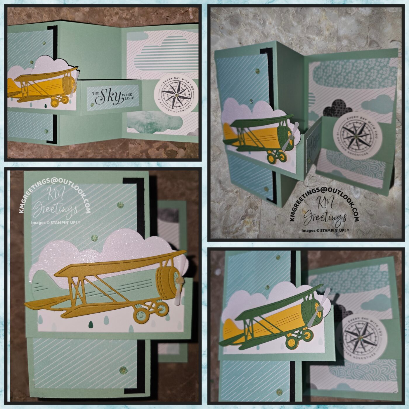 Plane Tri-Fold Greeting Card