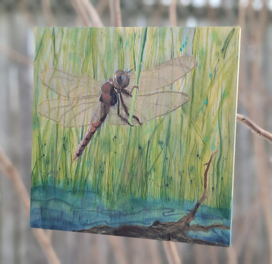 Dragonfly
