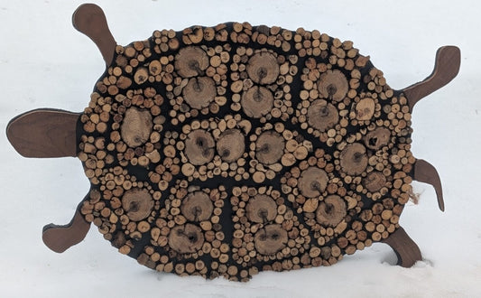 Big Turtle