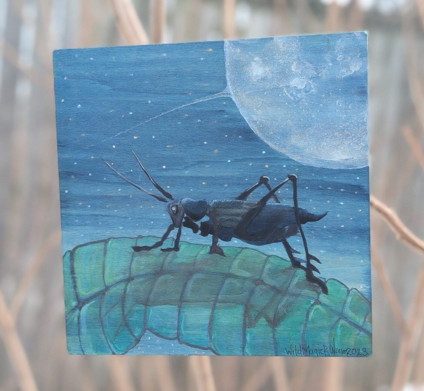 Cricket Moon Magick
