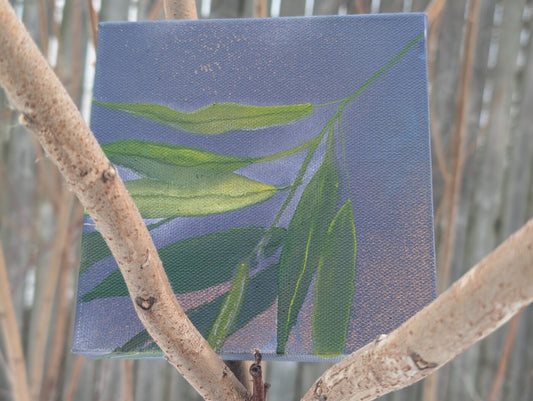 Willow on Purple