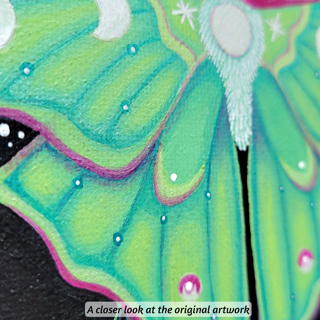 Luna Moth Art Print