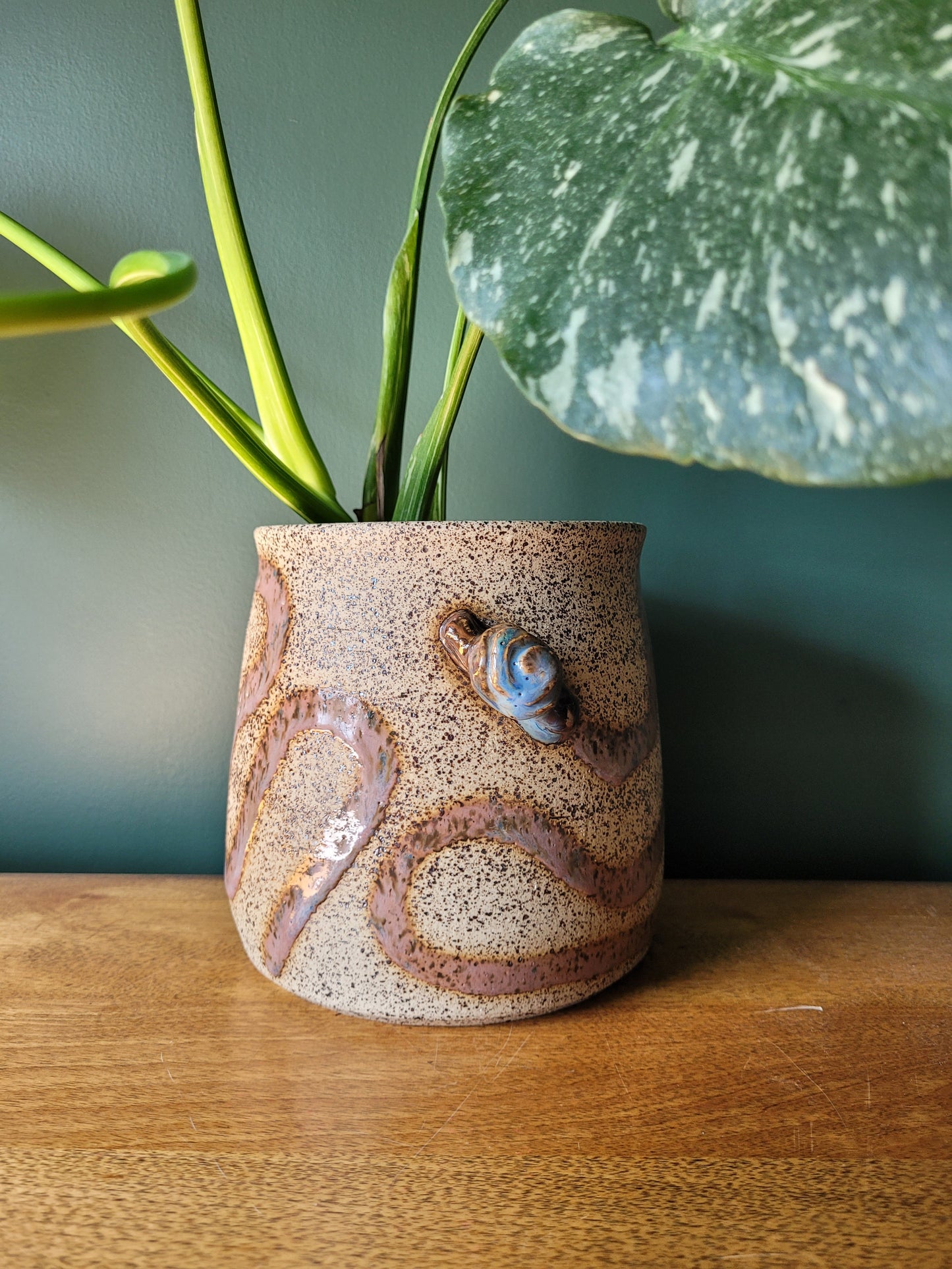 Slow and Steady Planter
