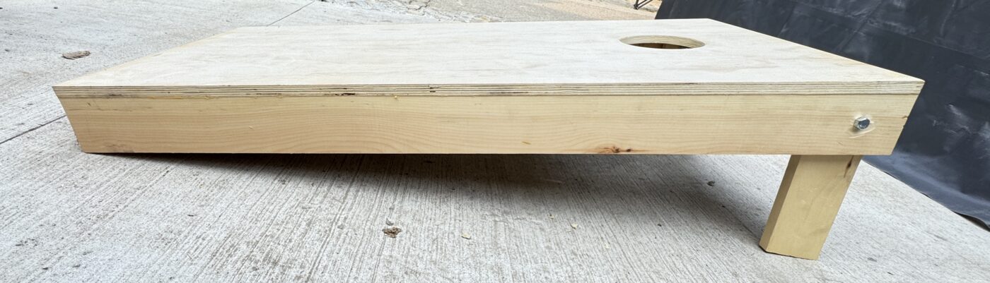 Custom Corn Hole Board Set