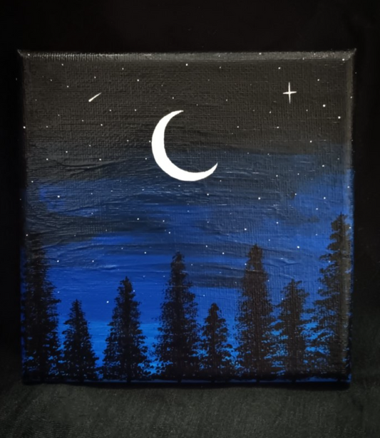 Night Sky Canvas
