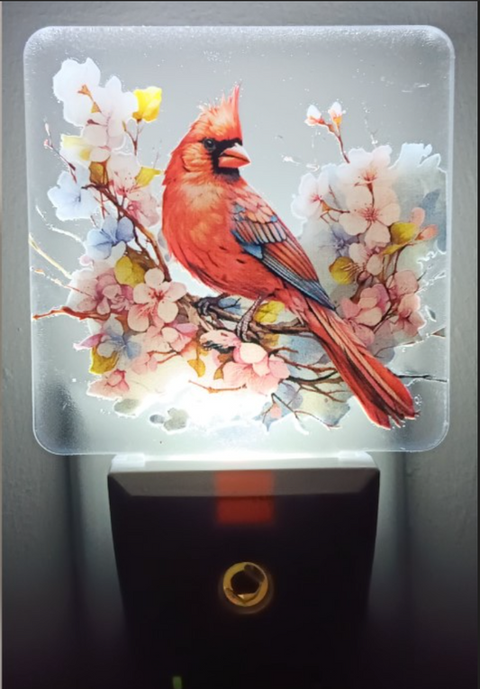 Nightlight (Cardinal)