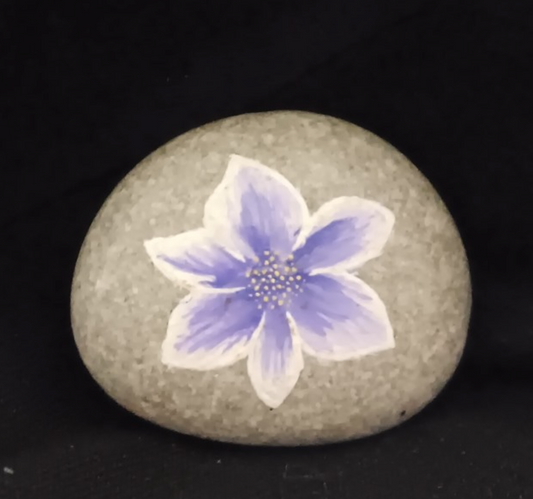 Small Rock -Flower